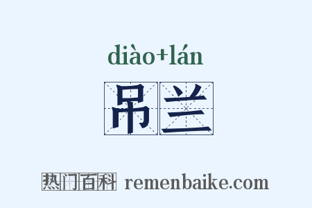 吊兰是什么意思的图片